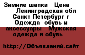 Зимние шапки › Цена ­ 8 000 - Ленинградская обл., Санкт-Петербург г. Одежда, обувь и аксессуары » Мужская одежда и обувь   